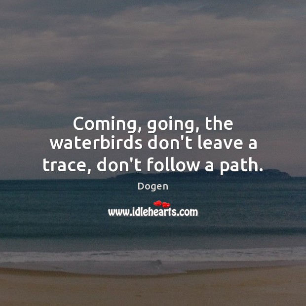 Coming, going, the waterbirds don’t leave a trace, don’t follow a path. Dogen Picture Quote