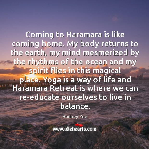 Coming to Haramara is like coming home. My body returns to the Rodney Yee Picture Quote