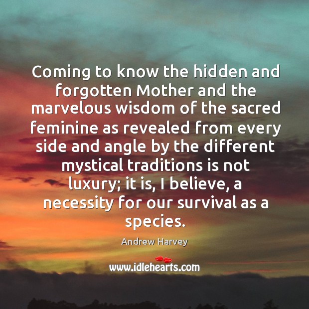 Coming to know the hidden and forgotten Mother and the marvelous wisdom Andrew Harvey Picture Quote