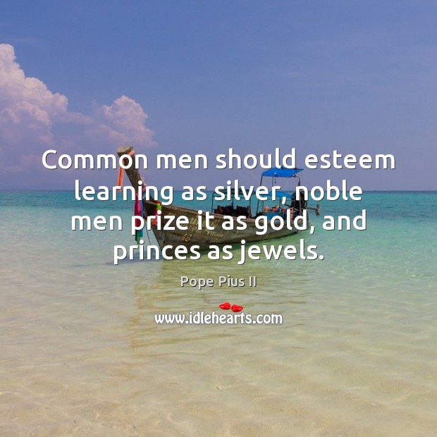 Common men should esteem learning as silver, noble men prize it as Pope Pius II Picture Quote