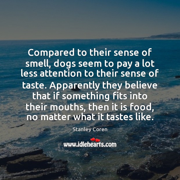Compared to their sense of smell, dogs seem to pay a lot Stanley Coren Picture Quote