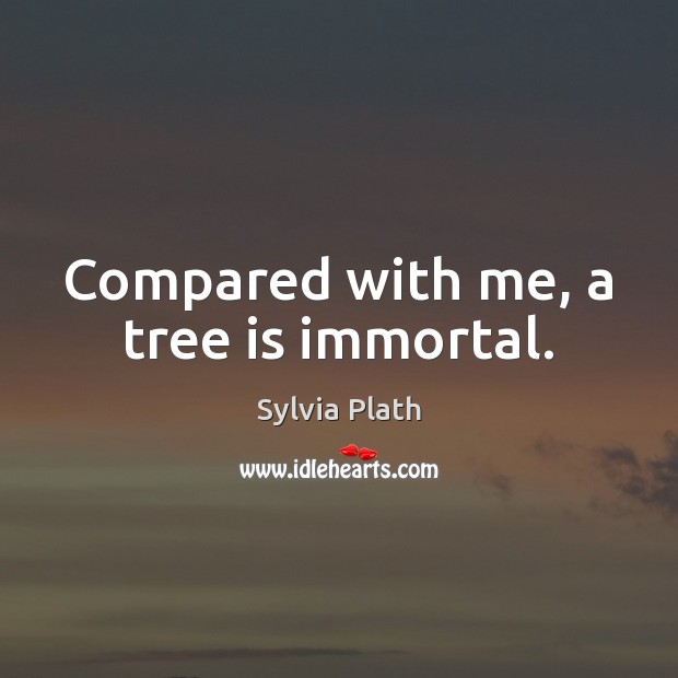 Compared with me, a tree is immortal. Sylvia Plath Picture Quote