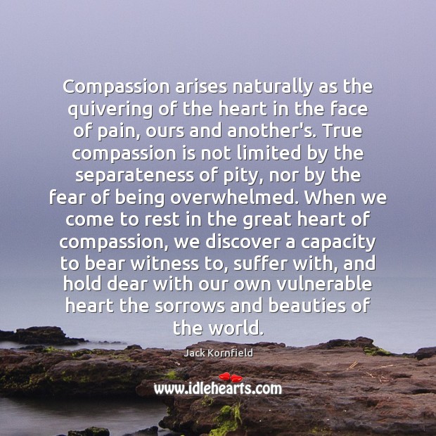 Compassion arises naturally as the quivering of the heart in the face Jack Kornfield Picture Quote