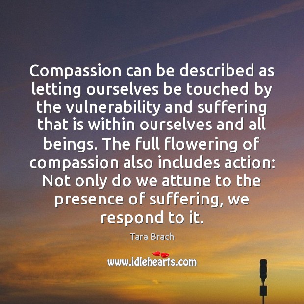 Compassion can be described as letting ourselves be touched by the vulnerability Tara Brach Picture Quote