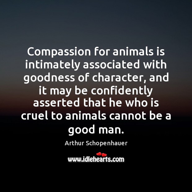 Compassion for animals is intimately associated with goodness of character, and it Arthur Schopenhauer Picture Quote