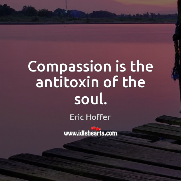 Compassion is the antitoxin of the soul. Image
