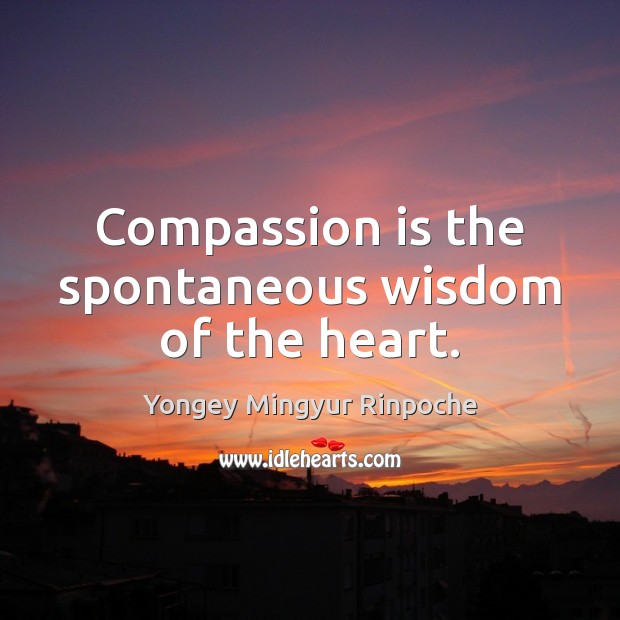 Compassion is the spontaneous wisdom of the heart. Compassion Quotes Image