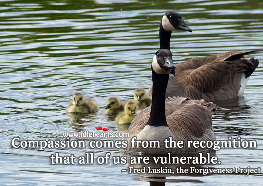 Compassion comes from the recognition Image
