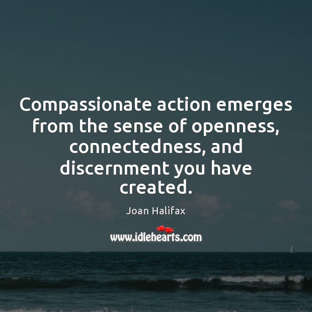Compassionate action emerges from the sense of openness, connectedness, and discernment you Image
