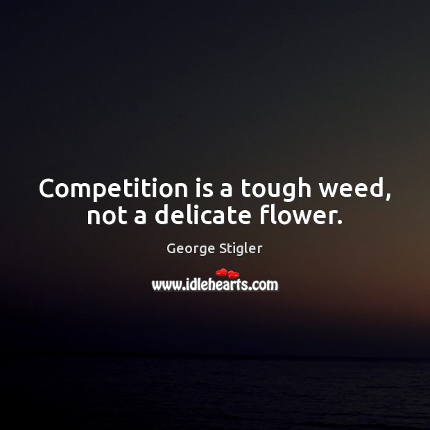 Competition is a tough weed, not a delicate flower. George Stigler Picture Quote