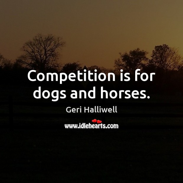 Competition is for dogs and horses. Image