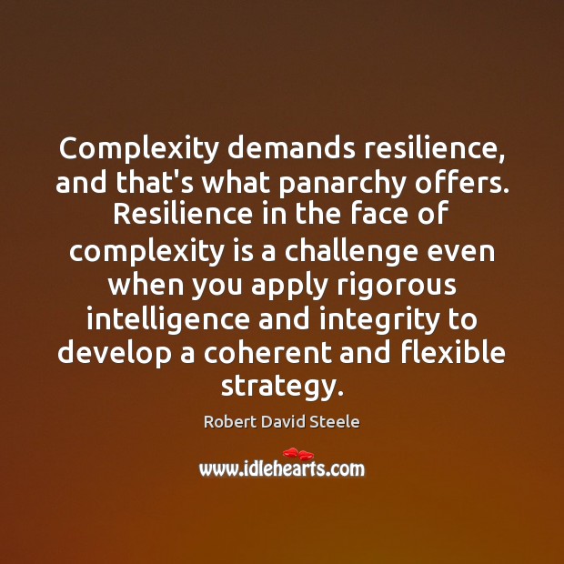 Complexity demands resilience, and that’s what panarchy offers. Resilience in the face Image