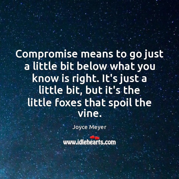 Compromise means to go just a little bit below what you know Joyce Meyer Picture Quote