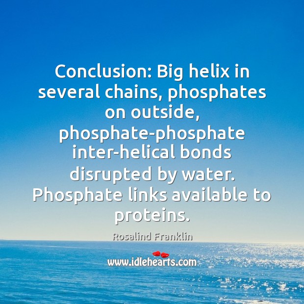Conclusion: Big helix in several chains, phosphates on outside, phosphate-phosphate inter-helical bonds Image