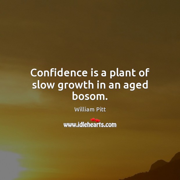 Confidence is a plant of slow growth in an aged bosom. William Pitt Picture Quote