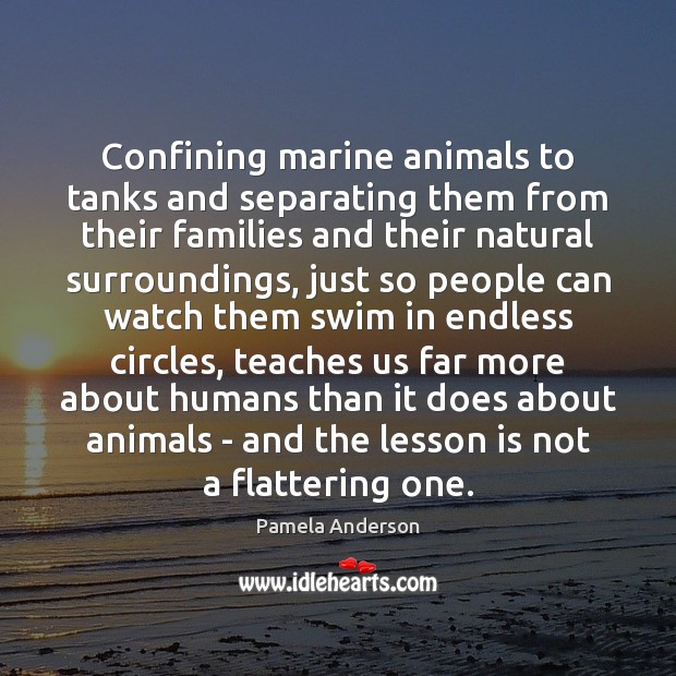 Confining marine animals to tanks and separating them from their families and Image