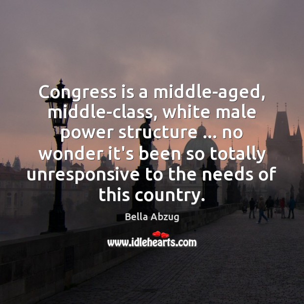 Congress is a middle-aged, middle-class, white male power structure … no wonder it’s Image