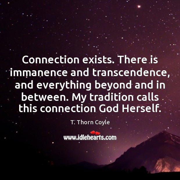 Connection exists. There is immanence and transcendence, and everything beyond and in T. Thorn Coyle Picture Quote