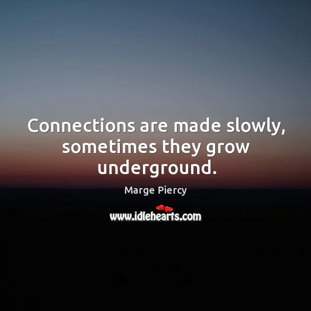 Connections are made slowly, sometimes they grow underground. Image