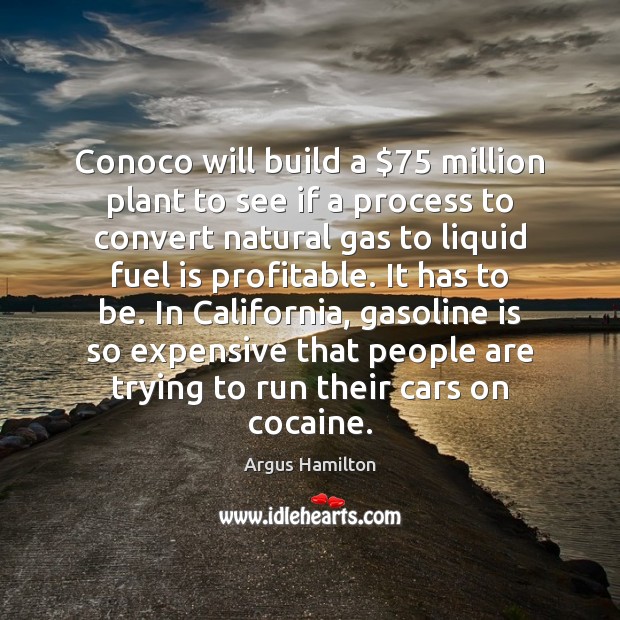 Conoco will build a $75 million plant to see if a process to Argus Hamilton Picture Quote