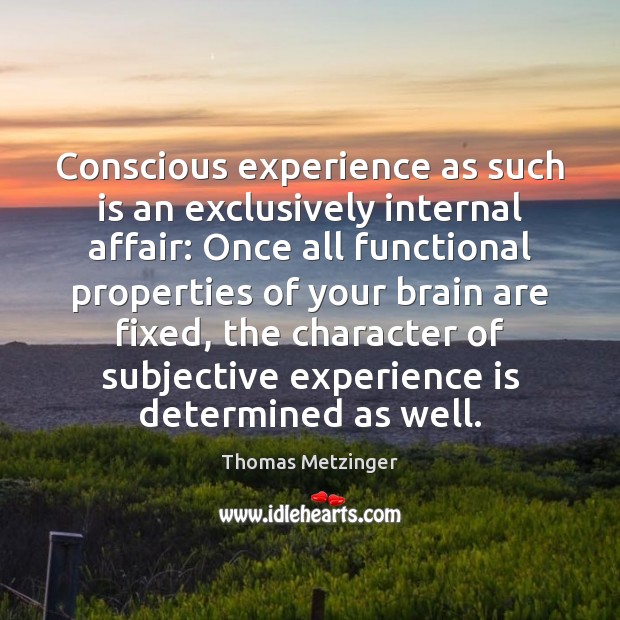 Conscious experience as such is an exclusively internal affair: Once all functional Thomas Metzinger Picture Quote