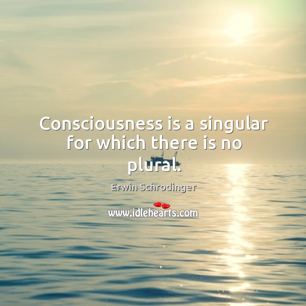 Consciousness is a singular for which there is no plural. Erwin Schrodinger Picture Quote