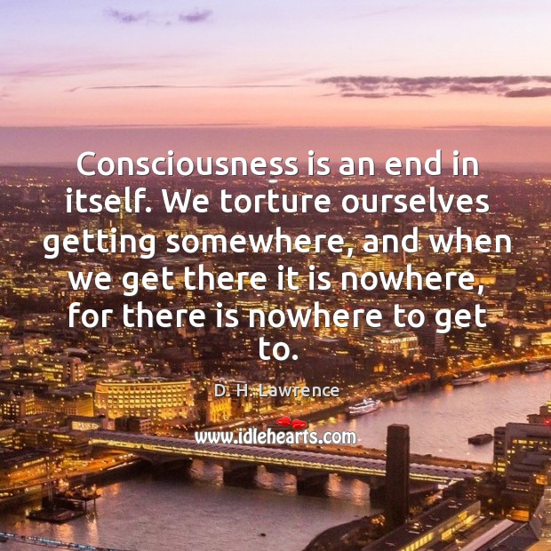 Consciousness is an end in itself. We torture ourselves getting somewhere Image