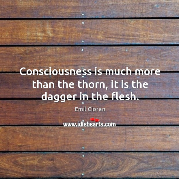 Consciousness is much more than the thorn, it is the dagger in the flesh. Emil Cioran Picture Quote