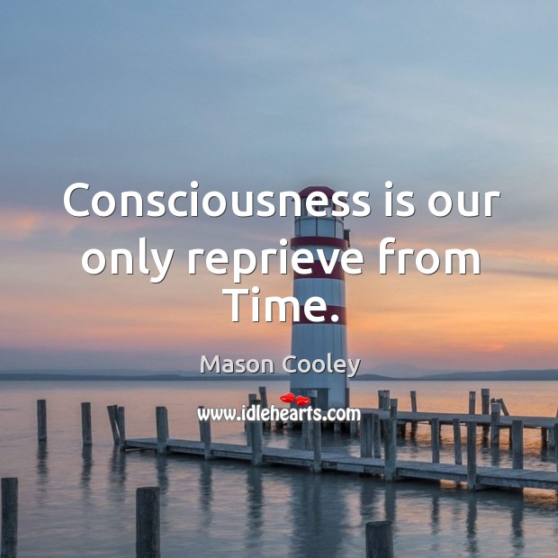 Consciousness is our only reprieve from time. Mason Cooley Picture Quote