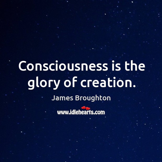 Consciousness is the glory of creation. James Broughton Picture Quote