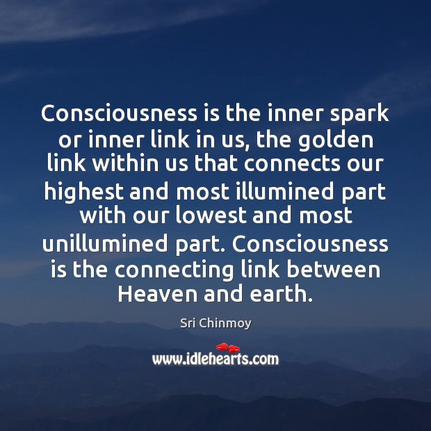 Consciousness is the inner spark or inner link in us, the golden Sri Chinmoy Picture Quote