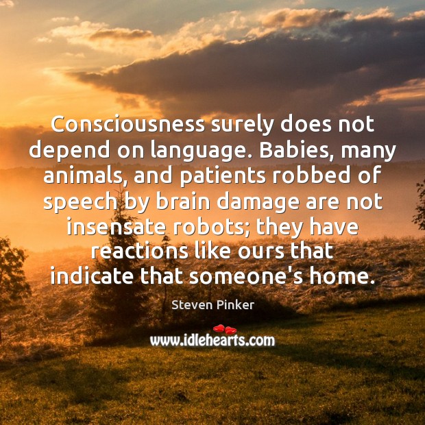 Consciousness surely does not depend on language. Babies, many animals, and patients Steven Pinker Picture Quote