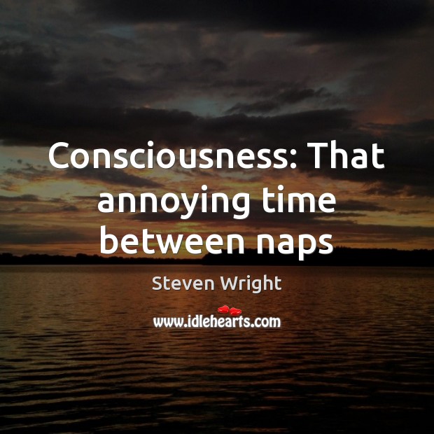 Consciousness: That annoying time between naps Steven Wright Picture Quote