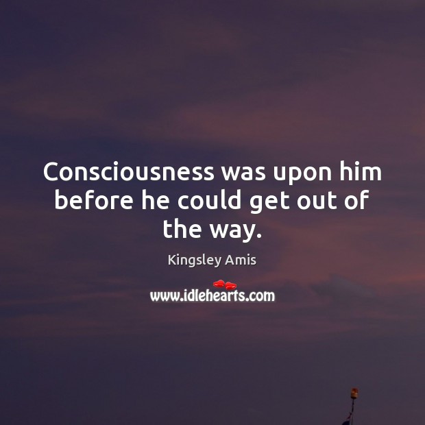 Consciousness was upon him before he could get out of the way. Kingsley Amis Picture Quote