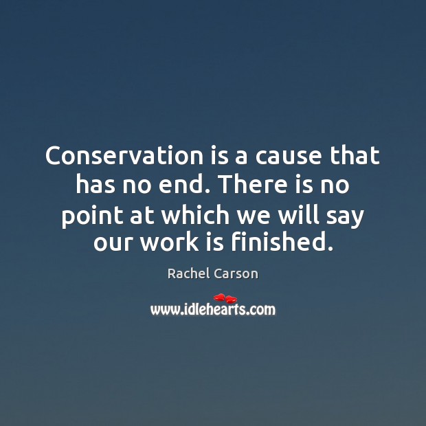 Conservation is a cause that has no end. There is no point Rachel Carson Picture Quote