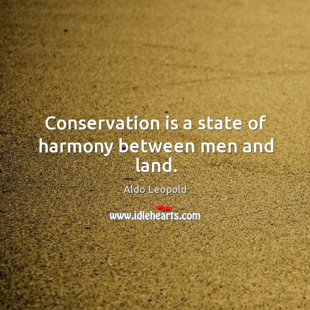 Conservation is a state of harmony between men and land. Aldo Leopold Picture Quote
