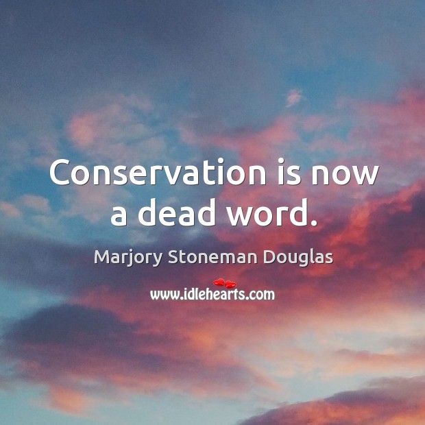 Conservation is now a dead word. Marjory Stoneman Douglas Picture Quote