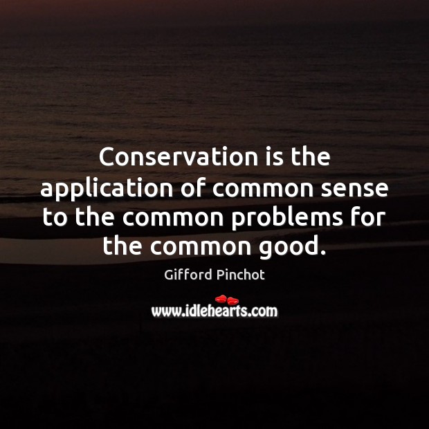 Conservation is the application of common sense to the common problems for Gifford Pinchot Picture Quote