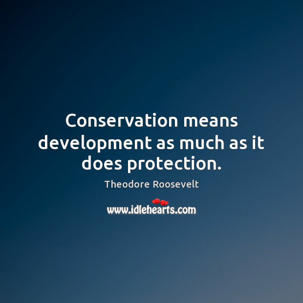 Conservation means development as much as it does protection. Image