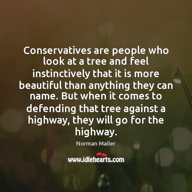 Conservatives are people who look at a tree and feel instinctively that Norman Mailer Picture Quote