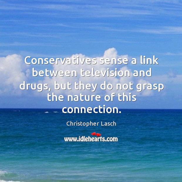 Conservatives sense a link between television and drugs, but they do not grasp the nature of this connection. Christopher Lasch Picture Quote