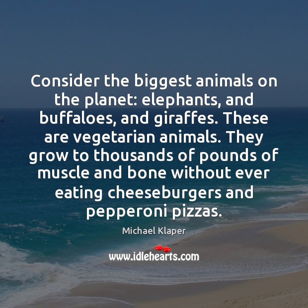 Consider the biggest animals on the planet: elephants, and buffaloes, and giraffes. Michael Klaper Picture Quote