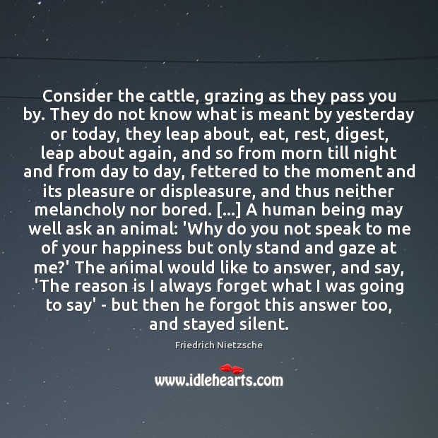 Consider the cattle, grazing as they pass you by. They do not Silent Quotes Image