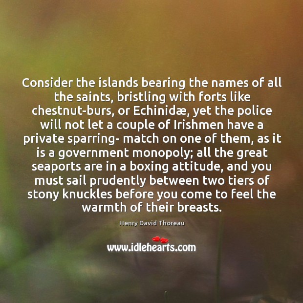 Consider the islands bearing the names of all the saints, bristling with Image