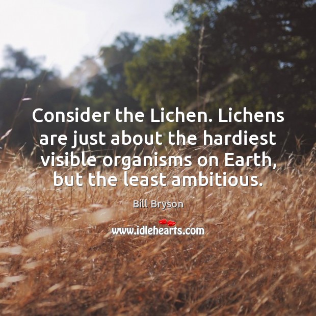 Consider the Lichen. Lichens are just about the hardiest visible organisms on Bill Bryson Picture Quote