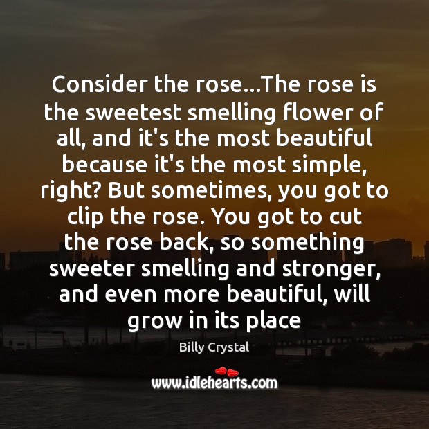 Consider the rose…The rose is the sweetest smelling flower of all, Billy Crystal Picture Quote