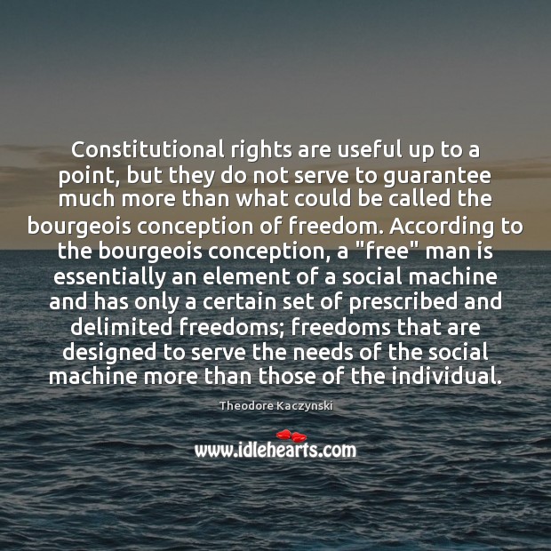 Constitutional rights are useful up to a point, but they do not Image