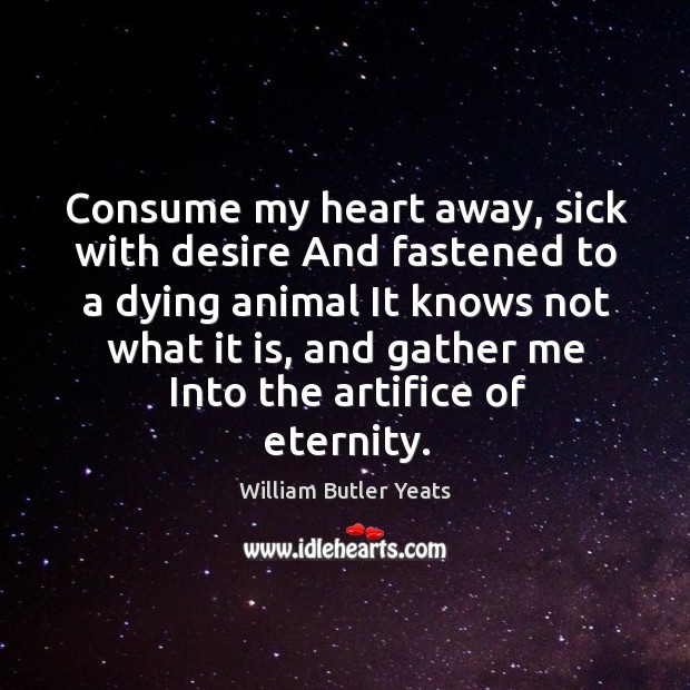 Consume my heart away, sick with desire And fastened to a dying William Butler Yeats Picture Quote