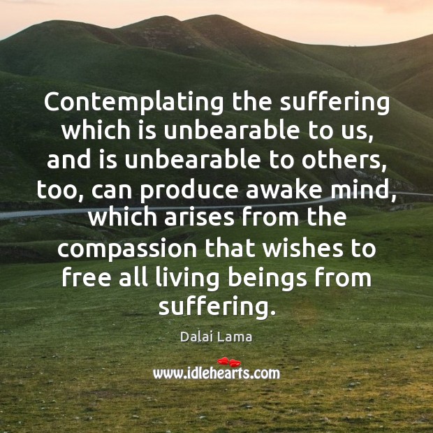 Contemplating the suffering which is unbearable to us, and is unbearable to Dalai Lama Picture Quote