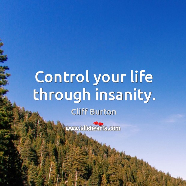 Control your life through insanity. Image